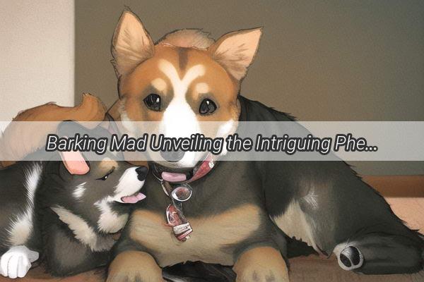 Barking Mad Unveiling the Intriguing Phenomenon of People Who Feel Like Dogs